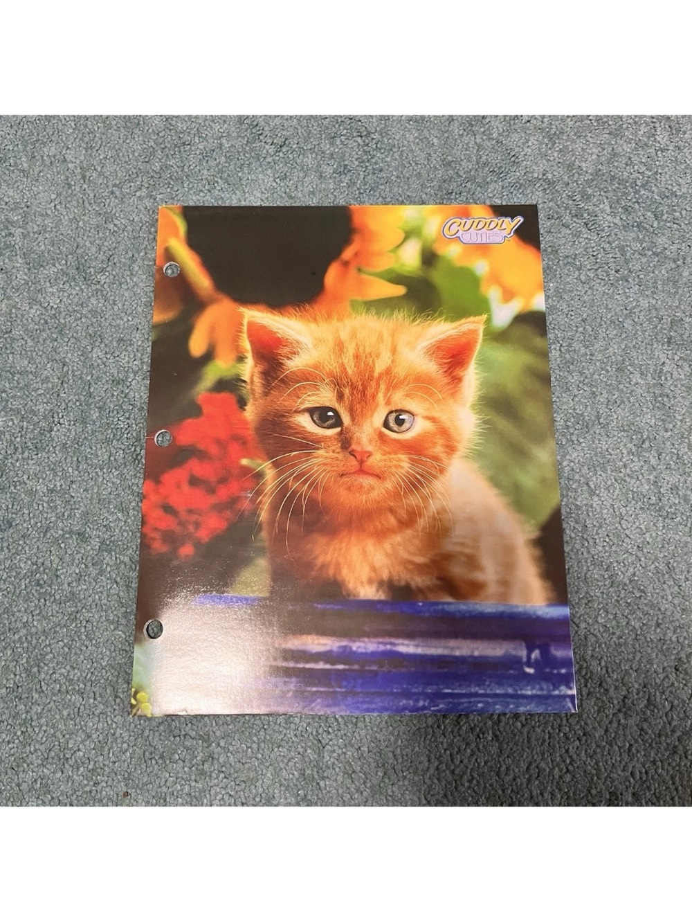 Vintage 2003 Cuddly Cuties Orange Kitten School Paper Folder